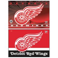 Detroit Red Wings Rectangle Magnet, 2pack 2" x 3"