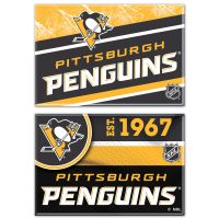 Pittsburgh Penguins Rectangle Magnet, 2pack 2" x 3"