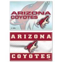 Arizona Coyotes Rectangle Magnet, 2pack 2" x 3"