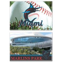 Miami Marlins Rectangle Magnet, 2pack 2" x 3"