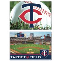 Minnesota Twins Rectangle Magnet, 2pack 2" x 3"