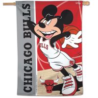 Chicago Bulls / Disney Vertical Flag 28" x 40"