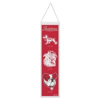 Louisiana - Lafayette Ragin Cajuns Wool Banner 8" x 32"